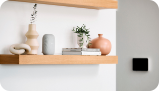 Google Home on Shelf with various items