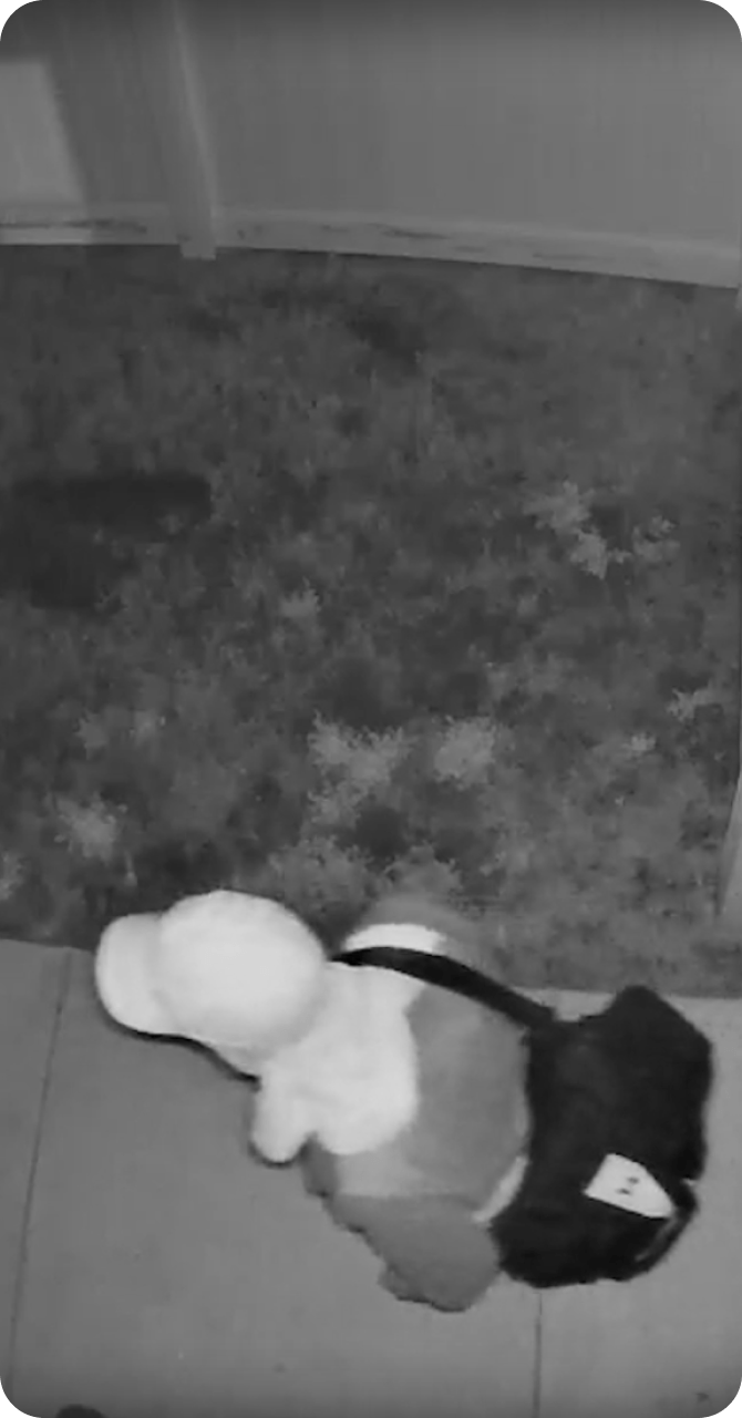 Vivint outdoor camera view of a man walking outside of the gate at night