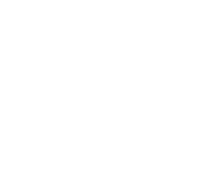 Vivint Home Logo