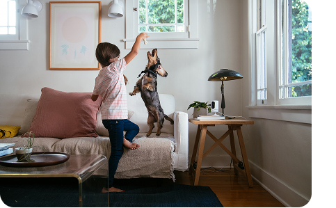 a child playing with a dog in the living room