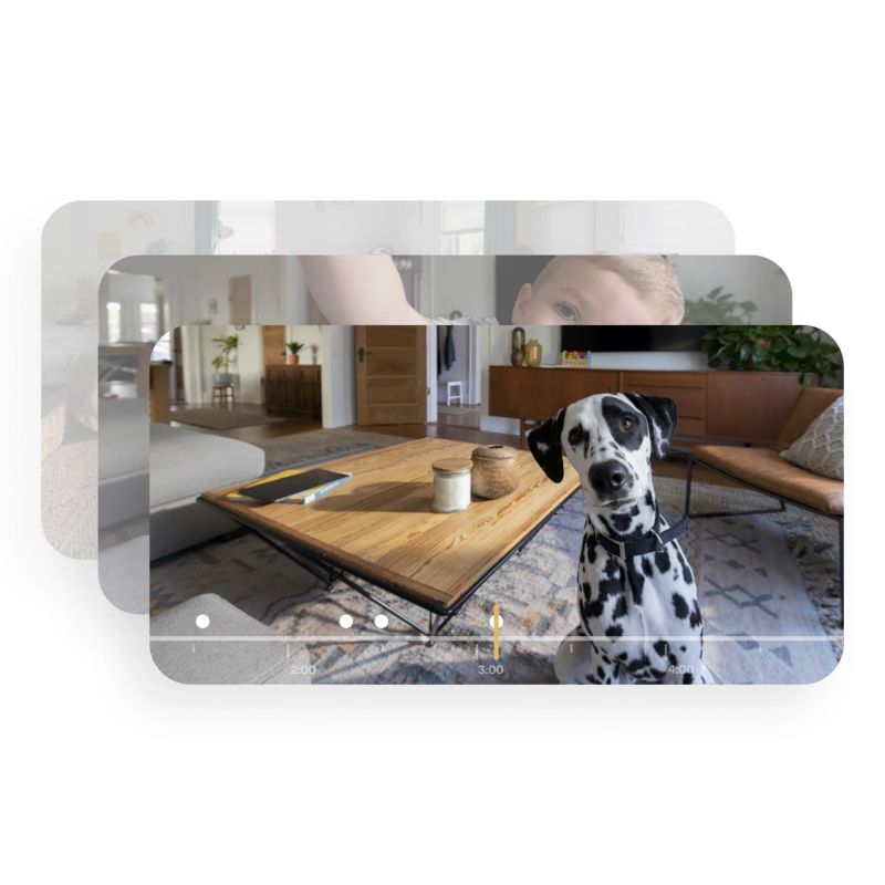 overlapped app views from Vivint Indoor Camera Pro showing a dog who's looking into the camera