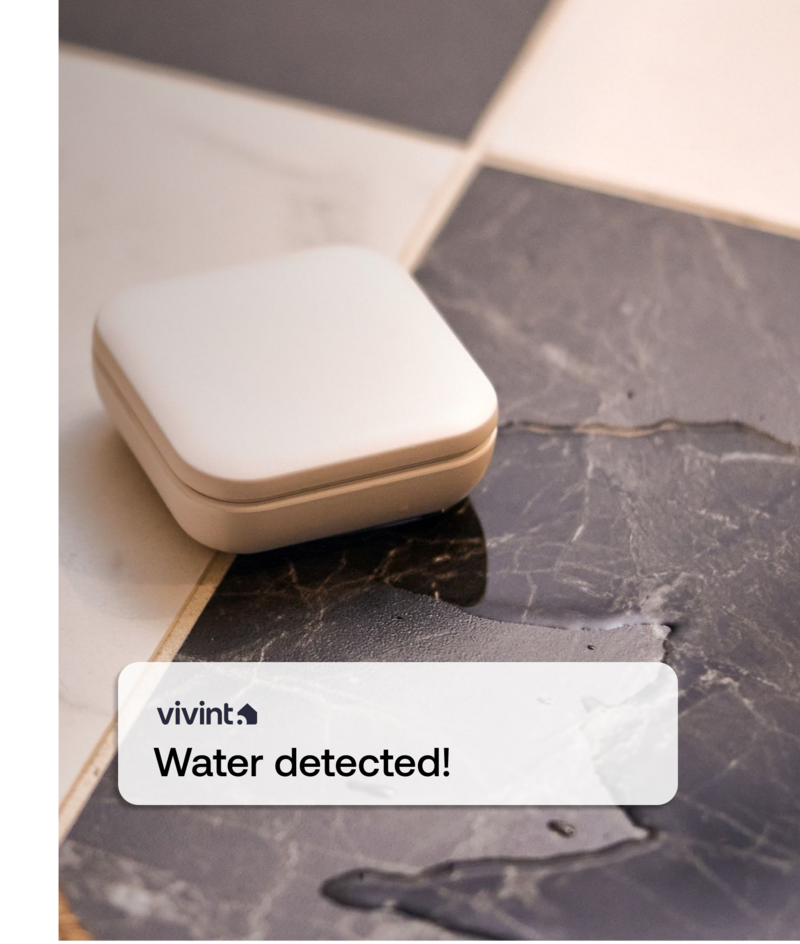 Vivint water sensor phone notification