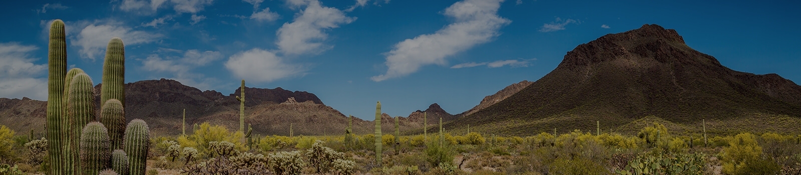 Arizona Scenery