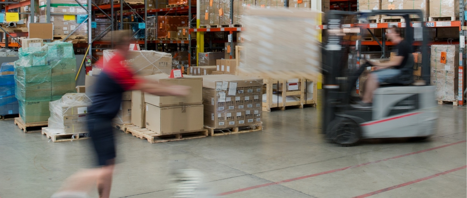 Employees working in a warehouse