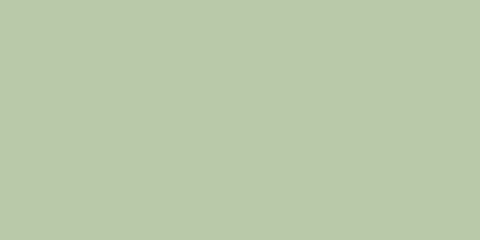 Sage color solid background