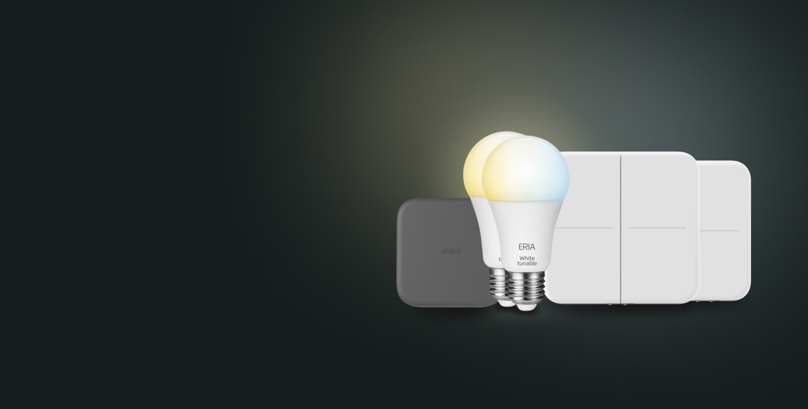 Product images of the Vivint Smart Lighting Bridge, Smart Light Bulbs, and Smart Light Switches.