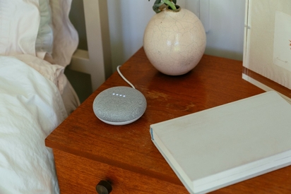 Google smart speaker.