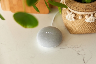 Google smart assistant.