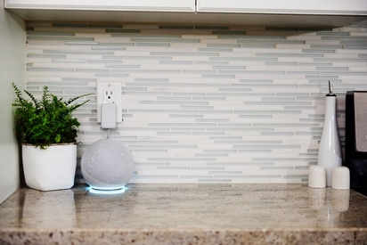 Google smart speaker.