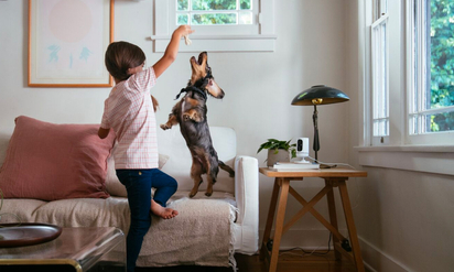 Vivint Motion Sensor.