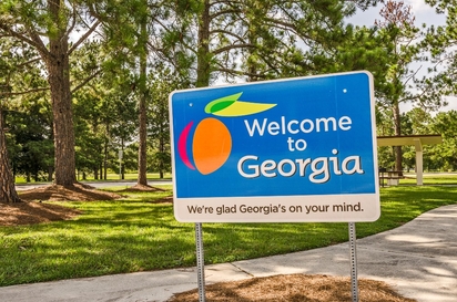 A scenic forest in Georgia.