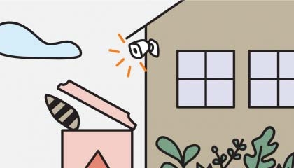 Illustration of Outdoor Camera with Raccoon Thumbnail
