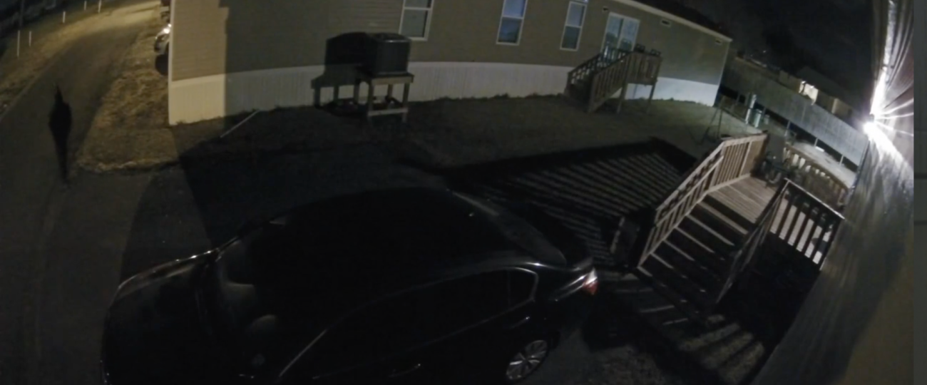 Outdoor Camera Pro footage of a lurker being scared away from the camera owner's car.