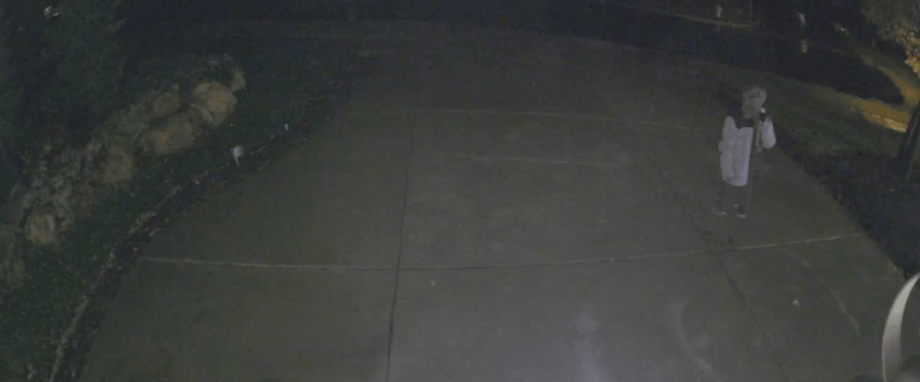 Outdoor Camera Pro footage of a lurker being scared away from homeowner's driveway.
