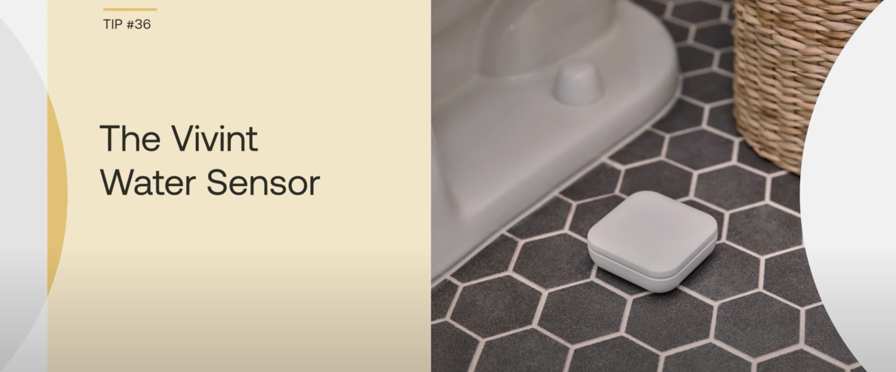 YouTube video about the Vivint Water Sensor.