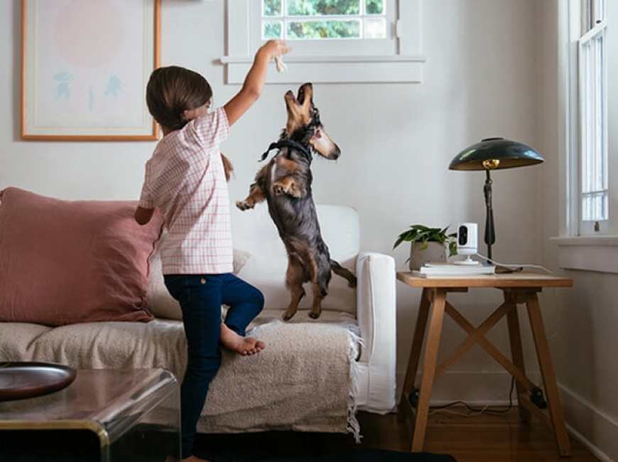 -Ping - Girl with Dog - 670x540