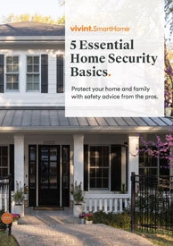 5 Essential Security Basics Ebook 5 Essential Security Basics Ebook