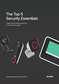 5 Essential Security Basics Ebook
