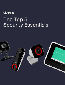 Top 5 Security Essentials
